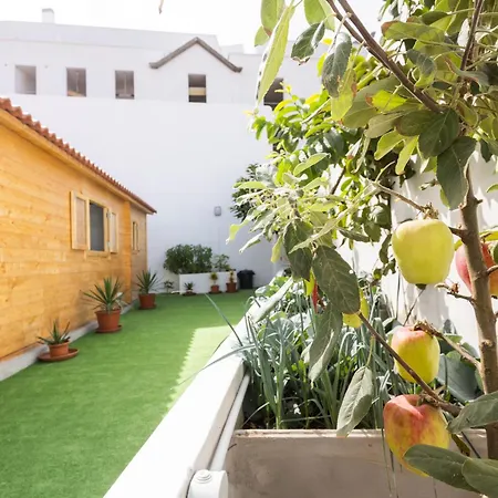 Live La Caleta Clavijo Garachico