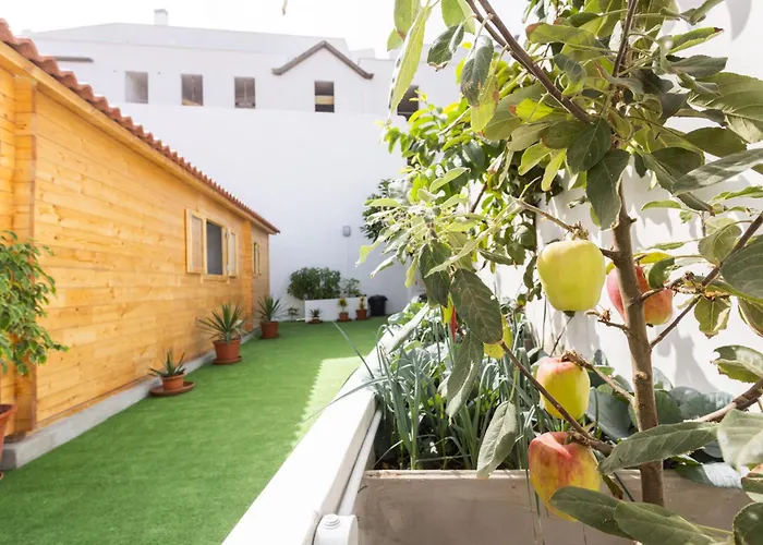 Live La Caleta Clavijo Garachico