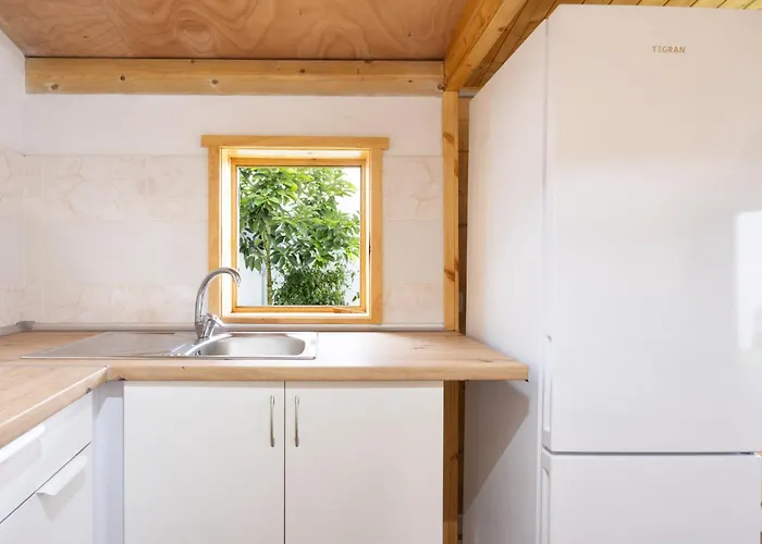 Live La Caleta Clavijo Nyaraló *